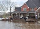 Livestock was stranded on high ground surrounding a house under construction. [Courtesy Bossier Parish Sheriff's Office]